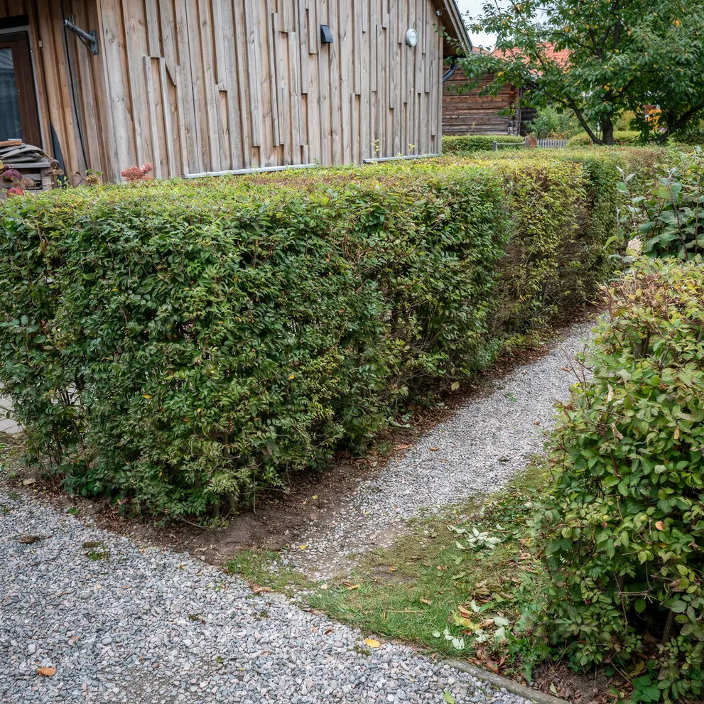 hackklippning lund